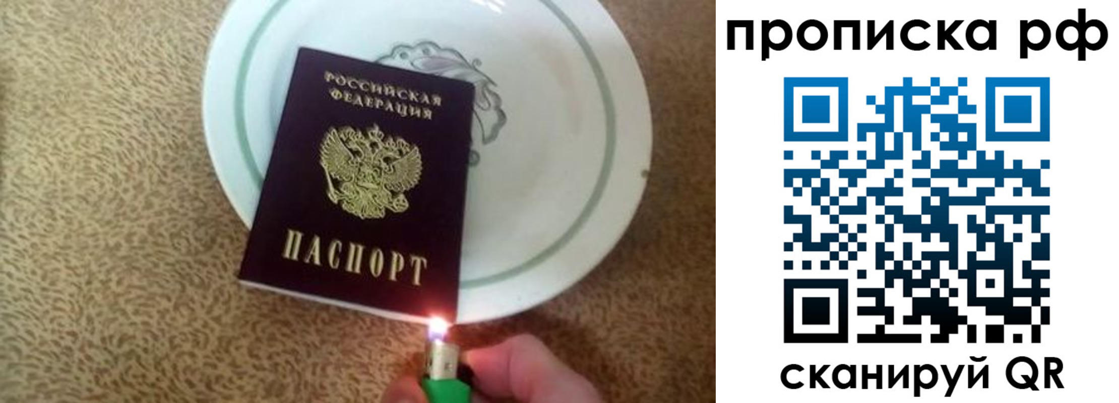 прописка в квартире в Зверево